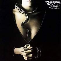 Whitesnake - 104542