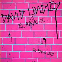 105042 - David Lindley And El Rayo-X