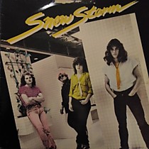 104689 - Snowstorm