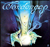 Wondergap - 106080
