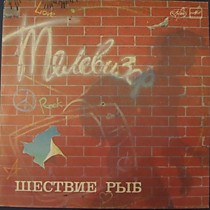 202449 - Телевизор ?