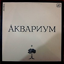 203556 - ?квариум