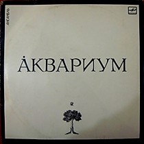 203853 - Аквариум