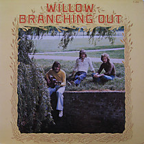 104760 - Willow
