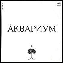 204073 - Аквариум